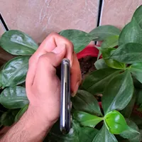 اپل iPhone 11 Pro Max با حافظهٔ ۲۵۶ گیگابایت|موبایل|گرگان, |دیوار
