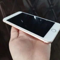 ایفون ۸ پلاس|موبایل|همدان, |دیوار