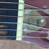 گیتار|گیتار، بیس، امپلیفایر|فلاورجان, |دیوار