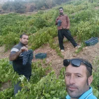 فروشی|حراج|رشت, آب و برق|دیوار