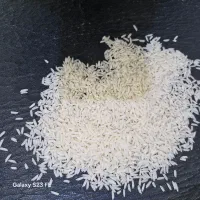 برنج طارم هاشمی درجه یک