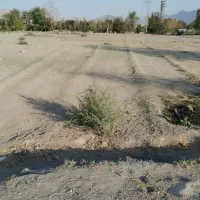 یک قطعه زمین کشاورزی نزدیک منازل