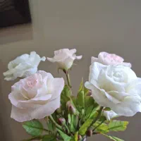 گل های رز بزرگ انعطافی