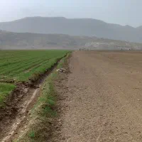 فروش ۱ هکتار و نیم زمین