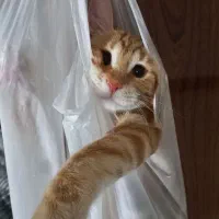 بازیگوش ۸ماهه با وسایل