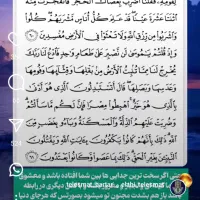 قرآن قدیمی|کلکسیون اشیاء عتیقه|تهران, بوستان ولایت|دیوار
