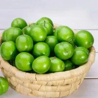 پیشفروش نهال گوجه سبز