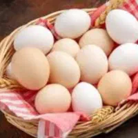 پای مرغ|خوردنی و آشامیدنی|مشهد, نوید|دیوار