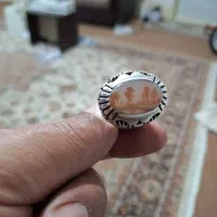 انگشتر شجر|جواهرات|ابهر, |دیوار