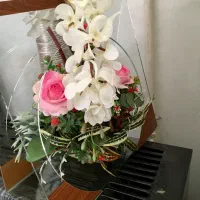 استند شیشه ای|کلکسیون و سرگرمی|اصفهان, شاهد|دیوار