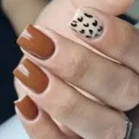 کاشت تخصصی NAIL BOSS LADy