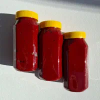 رب گوجه خونگی غلیظ و خوشرنگ|خوردنی و آشامیدنی|شیراز, صاحب الزمان|دیوار