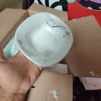 ارکوپال دو دست ۶ نفره نو و داخل کارتن|ظروف سرو و پذیرایی|محمدشهر, ولدآباد|دیوار