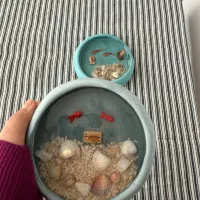 انواع شمع در طرح و رنگنبندی مختلف|صنایع دستی و سایر لوازم تزئینی|اصفهان, پروین|دیوار