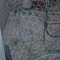 تور.  فلزی.  گرگور.  ماهی|ماهیگیری|شیراز, اصلاح‌نژاد|دیوار