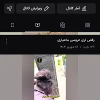تبلیغات میپذیرم|خدمات رایانه‌ای و موبایل|اصفهان, کساره|دیوار