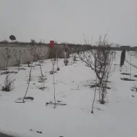 ۳۰۰۰زمین باغی با دیوارکشی واستخر و ۳۰۰ عدد درخت
