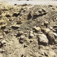 کود گوسفندی خالص برا باغ و گلخانه