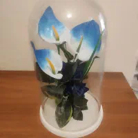 گلدان درحد نو