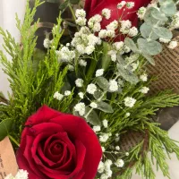 اپلاسیون فوق حرفه ای مرکز شهر