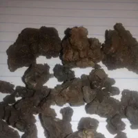 مومنایی اصل وشرط هرگونه ازمایش