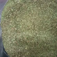 چوچاق خشک شده