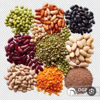 خرید جو گندم سیاه دانه گاودانه تخم کتان نخود سیاه