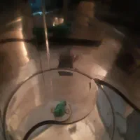 سبزی خرد کن|خردکن، آسیاب، غذاساز|یاسوج, |دیوار