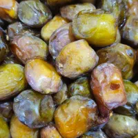 خرما رو مستقیم از باغ دار خرید کنید|خوردنی و آشامیدنی|شیراز, شهرک برق|دیوار