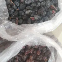 سلام مویز انگور بش شیرین|خوردنی و آشامیدنی|شیراز, ارم|دیوار