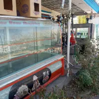 اجاره کافه باغ|اجارهٔ کوتاهمدت ویلا و باغ|زنجان, |دیوار