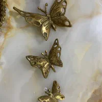 پروانه برنز