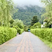 370-متر-زمین-شهرکی-دامنه-جنگل-ملکار-با-سند