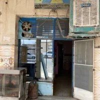 نیازمند همکار برای ساندویچی