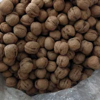 میوه|خوردنی و آشامیدنی|سپیدار, |دیوار