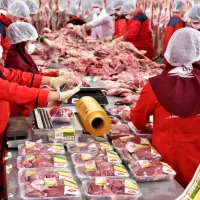 حراست و نگهبانی/ پست/ لیبل/ رستوران/کارخانه راننده|استخدام سرایداری و نظافت|تهران, تهرانپارس غربی|دیوار