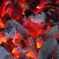 ذغال درجه یک کبابی درشت