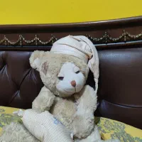 عروسک|اسباب‌‌بازی|مشهد, تربیت (صدف)|دیوار