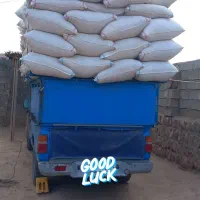 کاه گندم|حیوانات مزرعه|اهواز, امانیه|دیوار