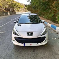 207 سقف فلز / TU5 / اقساط منعطف با شرایط شما