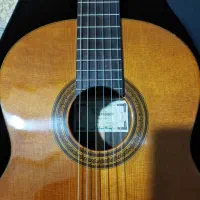 گیتار کلاسیک اسپانیایی مارتینز martinez 1070