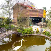 کافه-و-رستوران-سنتی-معاوضه-با-واحد-مسکونی-و-ماشین