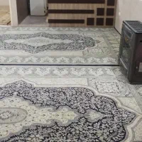 همکف دربست دو خواب بلوار دشتی ۱۶متری