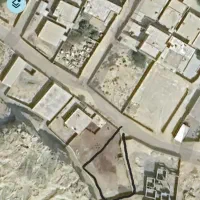 زمین گیاهدان