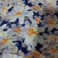 پارچه ی مجلسی|لباس|میناب, |دیوار