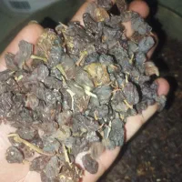 مویز|خوردنی و آشامیدنی|فیروزآباد (فارس), |دیوار