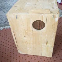 لونه طوطی راهب|لوازم جانبی حیوانات|رشت, حومه رشت|دیوار