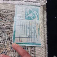 فرش شش متری با کمی پوسیدگی که در عکس مشخصه|فرش|پاکدشت, پاکدشت (مامازند)|دیوار