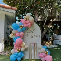 اجرای تم تعیین جنسیت