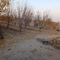 40000متر-باغچه-با-سند-و-اب-کشاورزی-نزدیک-بافت